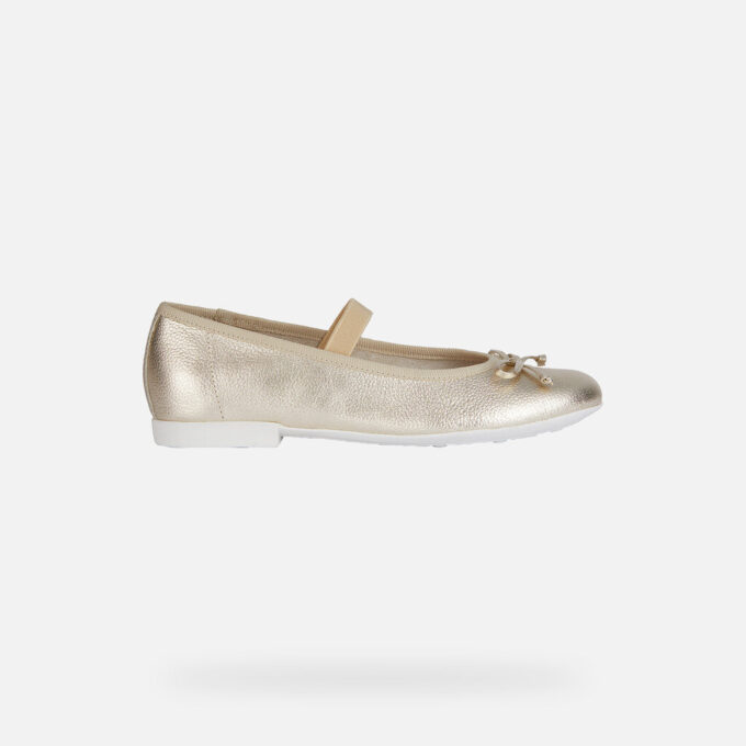 Plie Girl Plie Girl