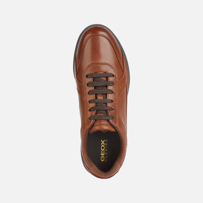 Spherica Ec12 Man
