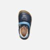 Steppieup Toddler Boy Steppieup Toddler Boy