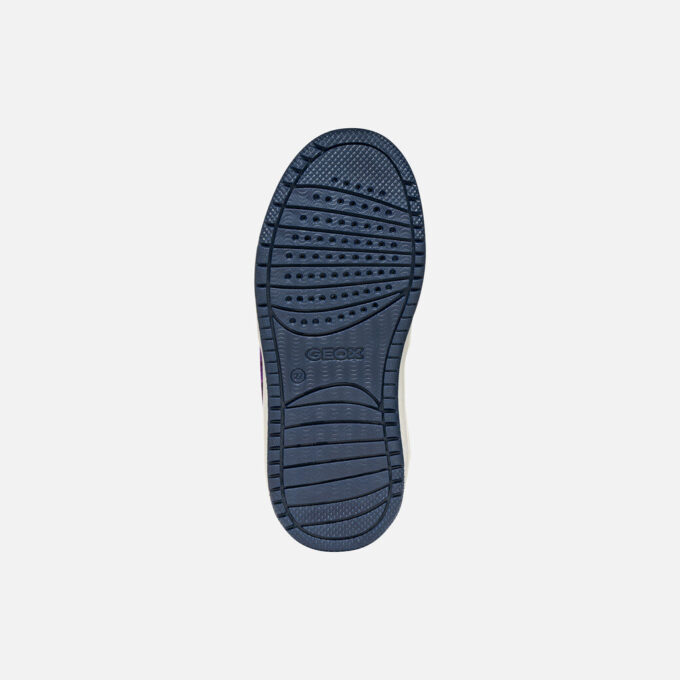 Washiba Boy